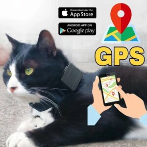 GPS трекер для домашних питомцев