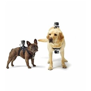Крепление на собаку GoPro Dog strap (черный)