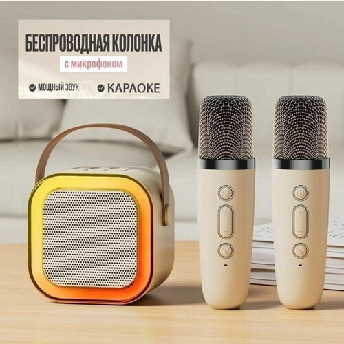 Детская караоке система с двумя микрофонами и колонкой / Караоке система для дома