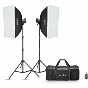 Комплект импульсного света Godox MS200V-F (BW, 2*200Дж)