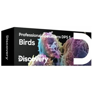 Набор микропрепаратов Levenhuk (Левенгук) Discovery Prof DPS 5. Птицы»