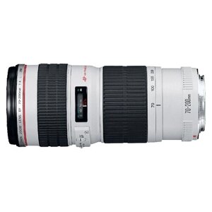 Объектив Canon EF 70-200mm f/4L USM, черный/белый