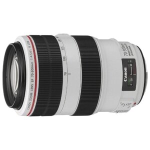 Объектив Canon EF 70-300mm f/4-5.6L IS USM, черный/белый