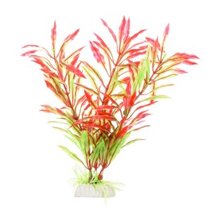 AquaFantasy Растение красно-зеленое 20см