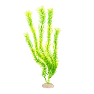AquaFantasy Растение-водоросли зеленое 40см