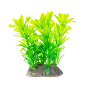 AquaFantasy Растение зеленое 6?5?10см