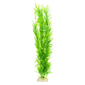 AquaFantasy Растение зеленое без цветков 40см