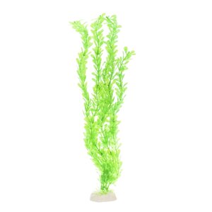 AquaFantasy Растение зеленое с цветками 40см
