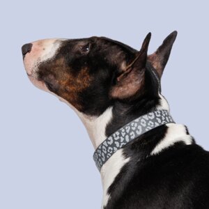HiPet Ошейник для собак из биотана светоотражающий, обхват шеи 60 см, ширина 2,5 см, серый с пятнами