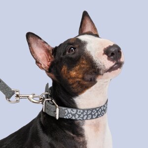 HiPet Ошейник для собак из биотана светоотражающий, обхват шеи 65 см, ширина 2,5 см, серый с пятнами