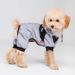 Petmax Дождевик с капюшоном для собак, XS, серый