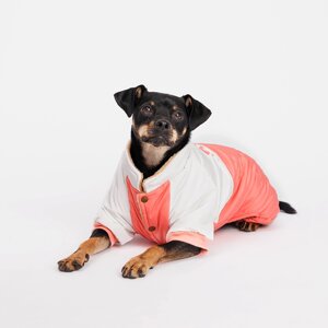 Petmax Комбинезон для собак, 2XL, розово-серый (девочка)