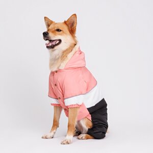 Petmax Комбинезон для собак, 4XL, розово-черный (девочка)