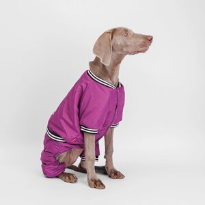 Petmax Комбинезон для собак Комикс, 3ХL, фиолетовый (девочка)