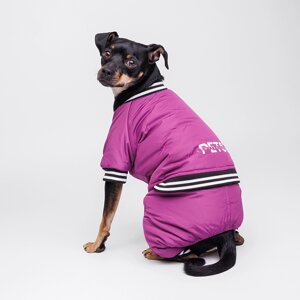 Petmax Комбинезон для собак Комикс, ХL, фиолетовый (девочка)