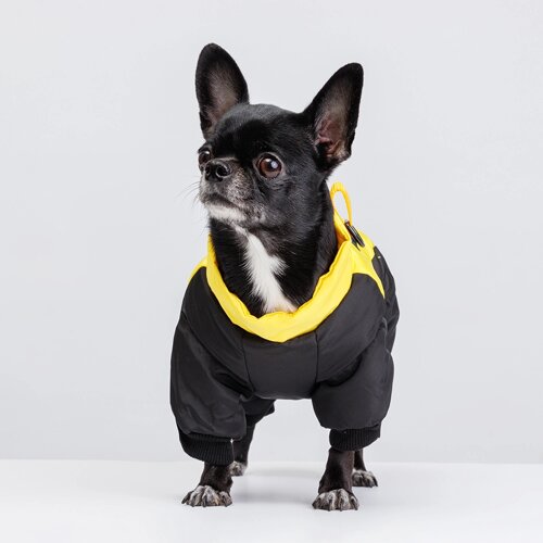Petmax Комбинезон для собак, S, желто-черный