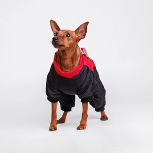 Petmax Комбинезон для собак, XL, красно-черный (девочка)