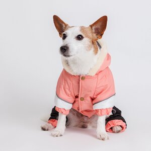 Petmax Комбинезон для собак, XL, розово-черный (девочка)