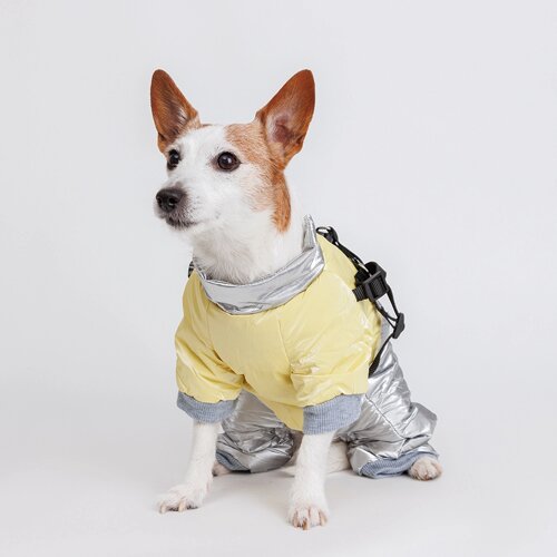 Petmax Комбинезон для собак, XL, серебряно-желтый (девочка)
