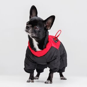 Petmax Комбинезон для собак, XS, красно-черный (девочка)