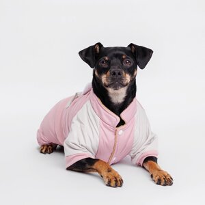Petmax Комбинезон для собак Зайка, L, розовый (девочка)