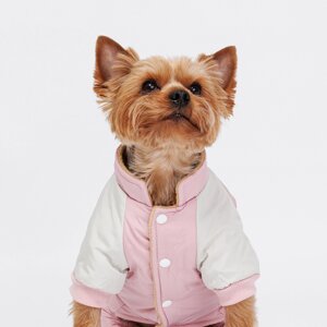 Petmax Комбинезон для собак Зайка, M, розовый (девочка)