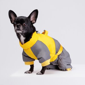Petmax Комбинезон на замке для собак, S, желто-серый