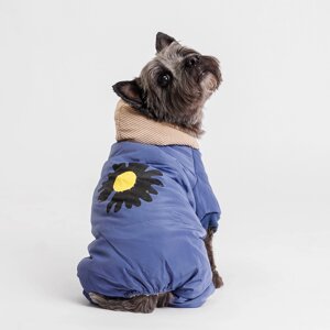 Petmax Комбинезон с цветочком для собак, XL, голубой (девочка)