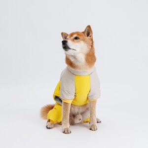Petmax Комбинезон с диагональным замком для собак, 2XL, желтый