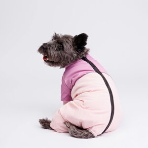 Petmax Комбинезон с диагональным замком для собак, L, розовый (девочка)
