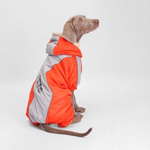 Petmax Комбинезон с капюшоном для собак, 3XL, оранжево-серый