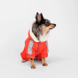Petmax Комбинезон с капюшоном для собак, S, оранжево-серый