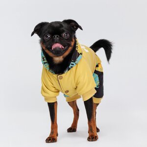 Petmax Комбинезон с капюшоном для собак, S, желтый