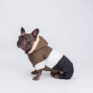 Petmax Комбинезон с капюшоном для собак, XL, зелено-черный