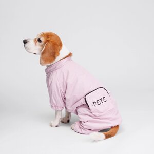Petmax Комбинезон с кармашком для собак, 5XL, фиолетовый (девочка)