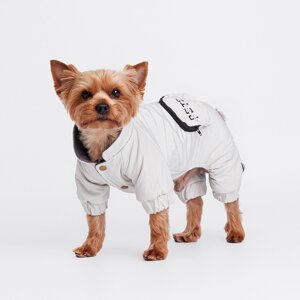 Petmax Комбинезон с кармашком для собак, M, серый
