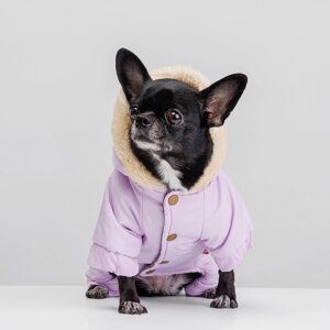 Petmax Комбинезон с оленем для собак, M, фиолетовый (девочка)