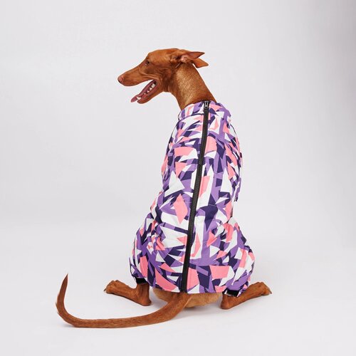Petmax Комбинезон с замком для собак, 4XL, фиолетово-розовый (девочка)
