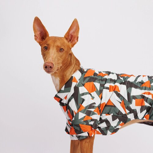 Petmax Комбинезон с замком для собак, 4XL, серо-оранжевый