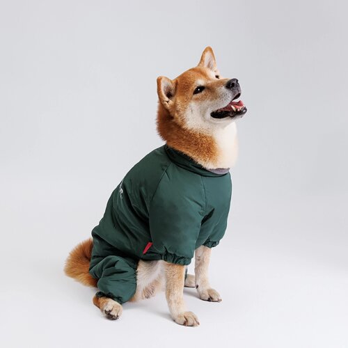 Petmax Комбинезон с замком для собак, 5XL, зеленый (девочка)
