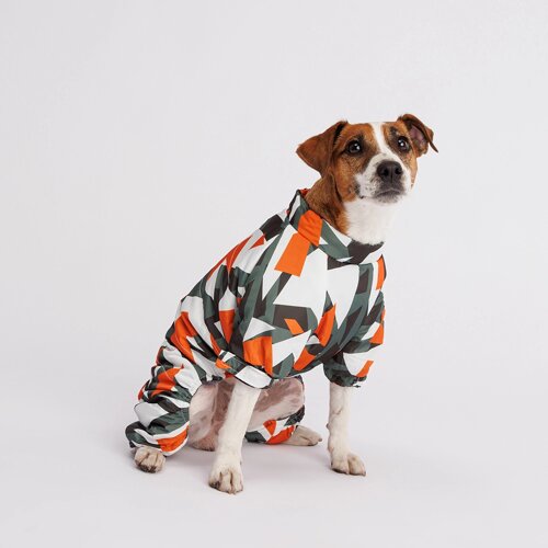 Petmax Комбинезон с замком для собак, XL, серо-оранжевый