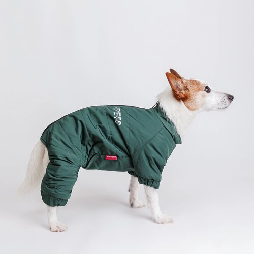 Petmax Комбинезон с замком для собак, XL, зеленый (девочка)