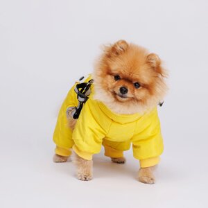 Petmax Комбинезон со шлейкой для собак, XS, желтый
