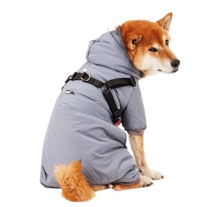 Petmax Комбинезон со шлейкой и капюшоном для собак 2XL синий (унисекс)