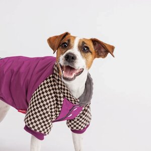 Petmax Куртка для собак, 2XL, фиолетовая