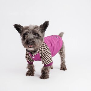 Petmax Куртка для собак, L, фиолетовая