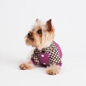 Petmax Куртка для собак, S, фиолетовая
