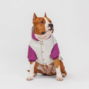 Petmax Куртка с капюшоном для собак, 3XL, серо-фиолетовая