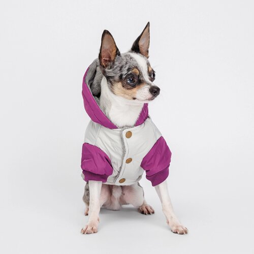 Petmax Куртка с капюшоном для собак, M, серо-фиолетовая
