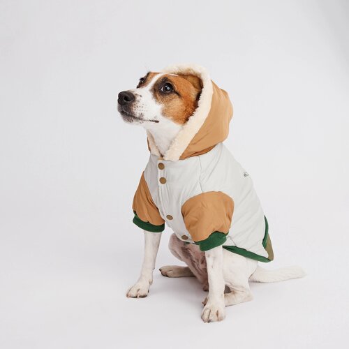 Petmax Куртка с капюшоном для собак Скелет, 3XL, серо-зеленая